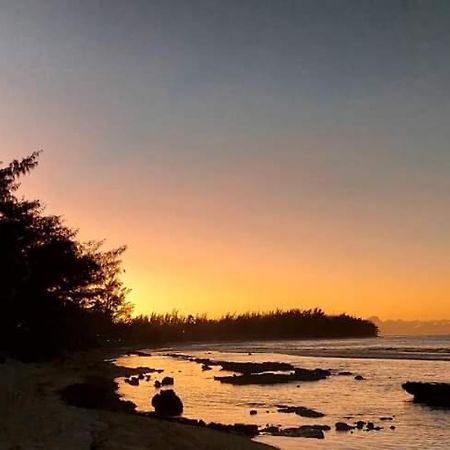 Moorea Temae Bungalow Lory Bord De Mer ภายนอก รูปภาพ