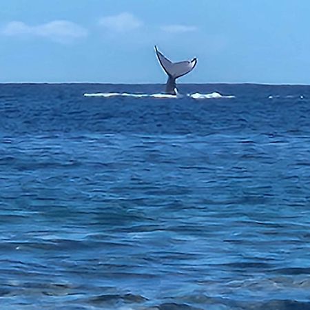 Moorea Temae Bungalow Lory Bord De Mer ภายนอก รูปภาพ