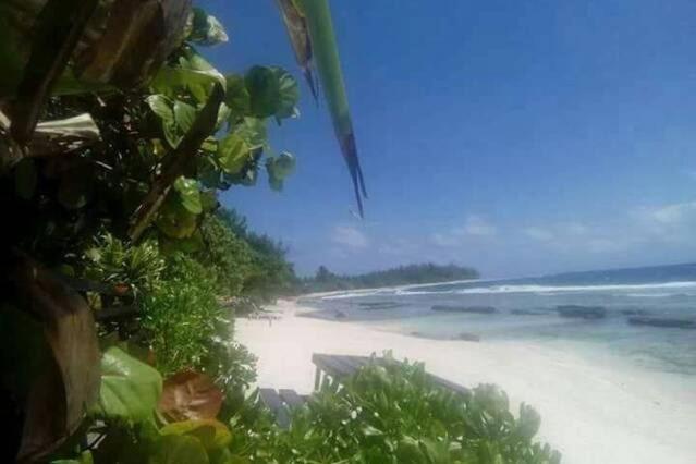 Moorea Temae Bungalow Lory Bord De Mer ภายนอก รูปภาพ