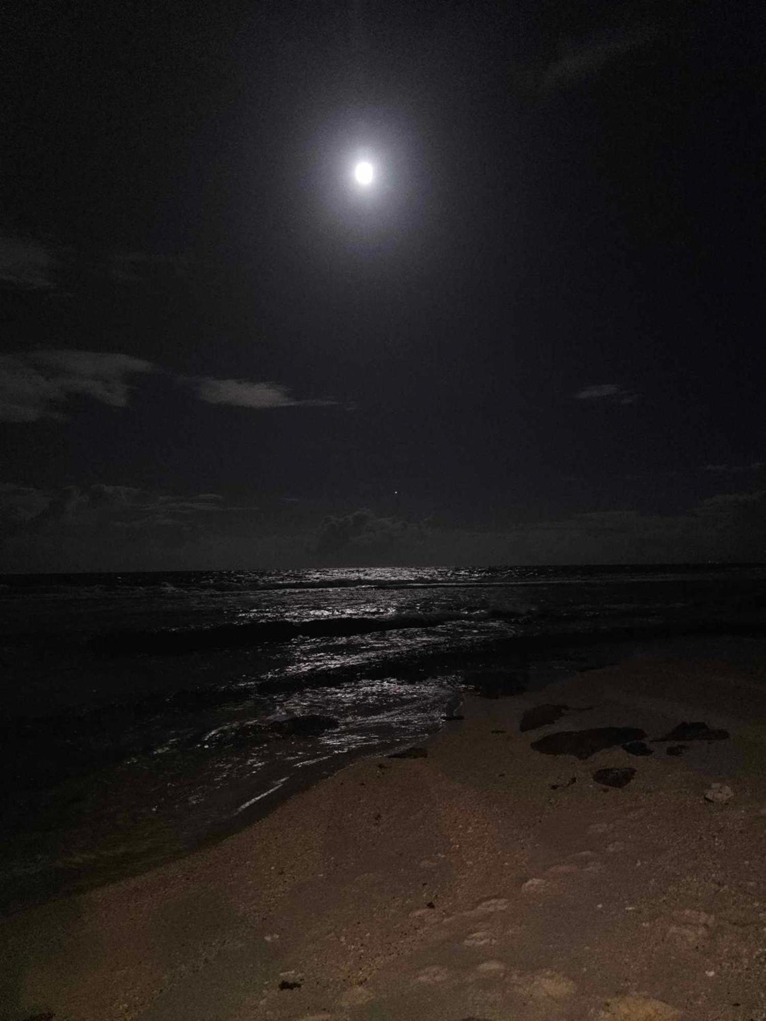 Moorea Temae Bungalow Lory Bord De Mer ภายนอก รูปภาพ